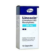LINCOCIN 500MG CAP