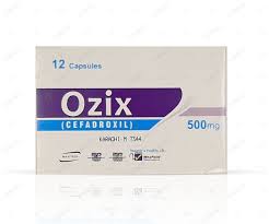 OZIX CAP 500MG 12S